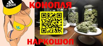 2c-b Кингисепп