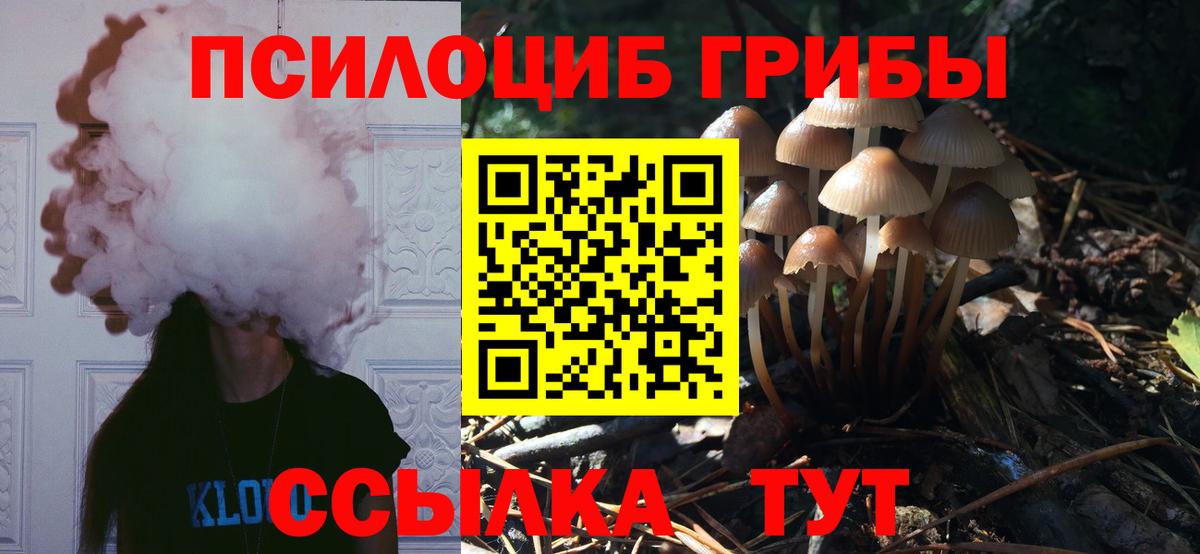 Кувандык  как найти закладки  Вход с VPN  Псилоцибиновые грибы мицелий 